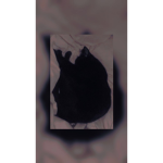 ~AARF~