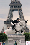 ~elegant equine clothing~