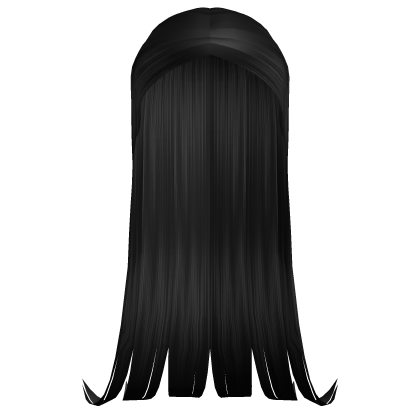 Long Straight Hair Roblox item