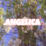 .ANGELICA