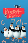 The Biggest Of Birds