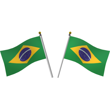Brazil Double Flags