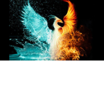 The elemental Phoenix (fan club)