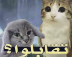 مفلسين لكن هيبتنا ملايين