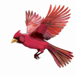 Clan Cardinal