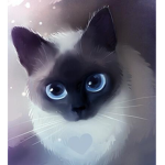 Kitty and Cat Fans!