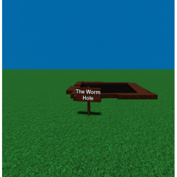 The Worm Hole