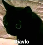 [S A D]