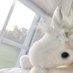 veilz’ Group Thumbnail