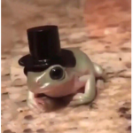 froggies}