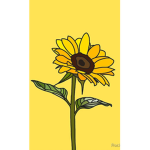 Sūñ flowers