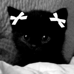 🎀 𝕋𝕆𝕆 🎀