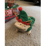 ReptilesRUS