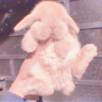 ♡ . . . 🎀