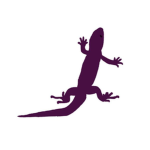 Purple Lizard Productions.