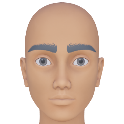 Thick Manly Gray Eyebrows