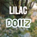 - lilac dollz -