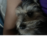 Kiki ;)$$
