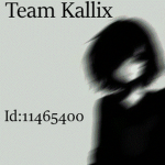 Team Kallix