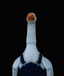 Gooses of Robloxia