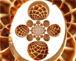 Hypnowaffle Productions