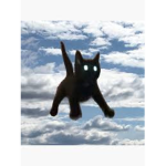 poptartcatfans