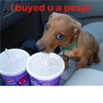 DOGS DOGS DOGS!!!!!!!!!