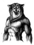 Brotherhood Of Lycans