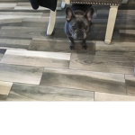 Puppycuties