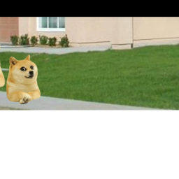 Doge