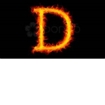 Dario Fan Group