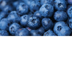*~Blueberry*~*Army~*