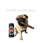 timurki