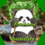 Marco_bears fan group
