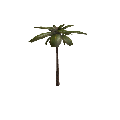 Palm tree