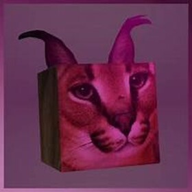 Survive The Buff Floppa