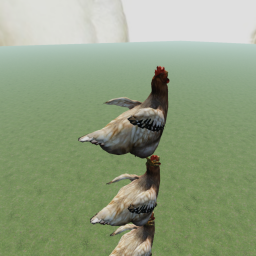 Hazels Chicken Game JOIN JOIN