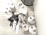 rinawina