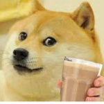 Epic Doge Land
