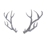 White Sparkle Time Antlers