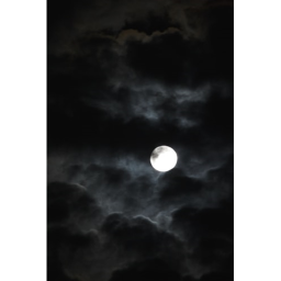 Can you escape the night?