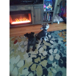 Doggy!!!!!!
