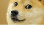 The Doge force!!!