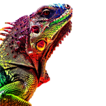 A_GUY_THAT_LIKES_REPTILES