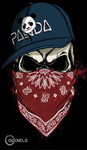 Syna gang members