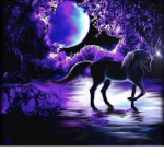 Night unicorns club