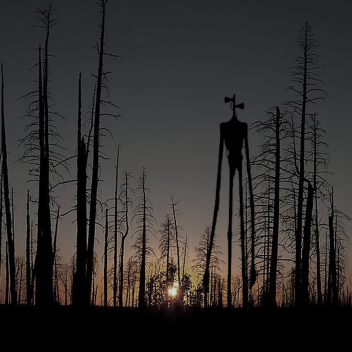 Сирена Головий