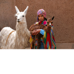 Team lama!