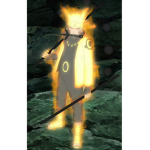 R3