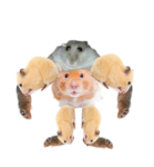 Imagine's army of pshycopaths